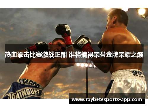 热血拳击比赛激战正酣 谁将摘得荣誉金牌荣耀之巅