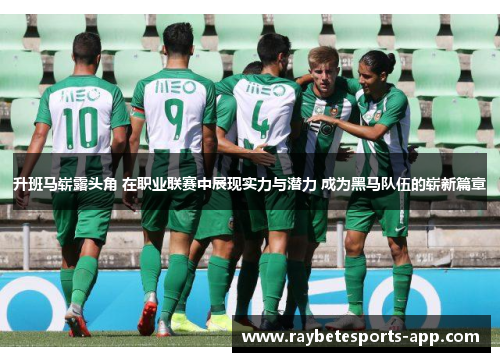 升班马崭露头角 在职业联赛中展现实力与潜力 成为黑马队伍的崭新篇章