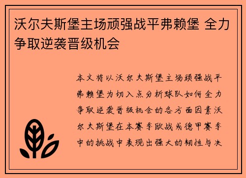 沃尔夫斯堡主场顽强战平弗赖堡 全力争取逆袭晋级机会