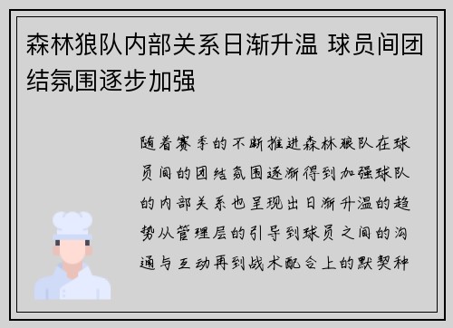 森林狼队内部关系日渐升温 球员间团结氛围逐步加强